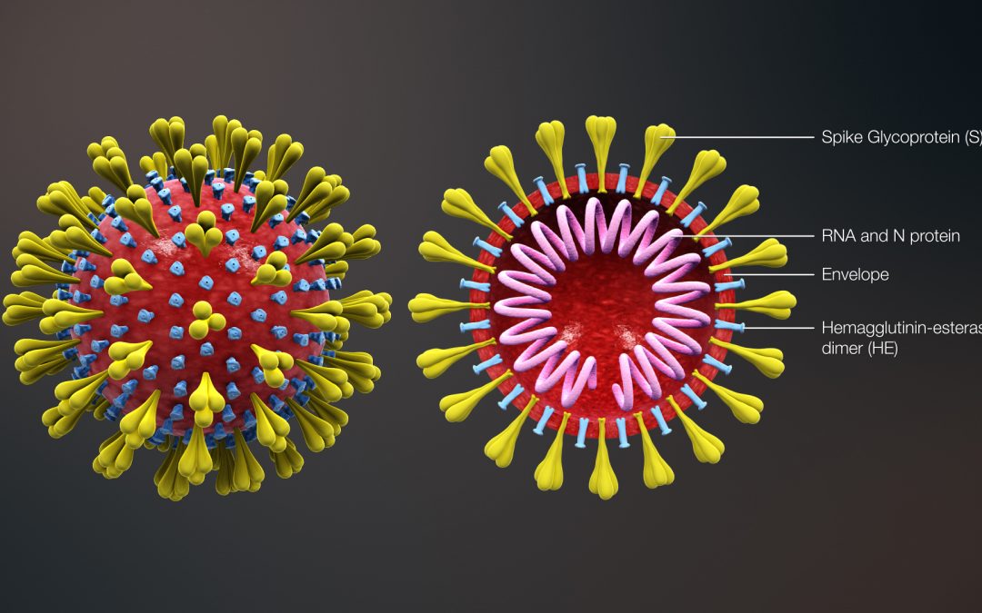 Coronavirus Update